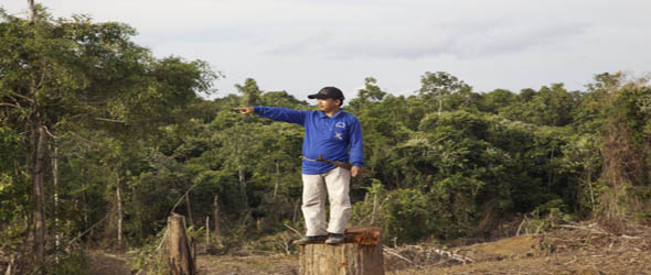  RSPO Tegaskan Larangan Aktifitas PT. Borneo Surya Mining Jaya di Wilayah Adat Muara Tae