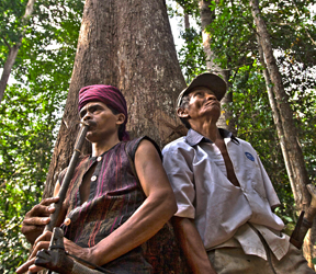 HUTAN ADAT BUKAN LAGI HUTAN NEGARA