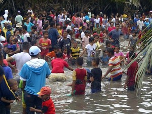 Ritual Buka Sasi Ikan Lompa : Kedaulatan Protein Negeri Haruku