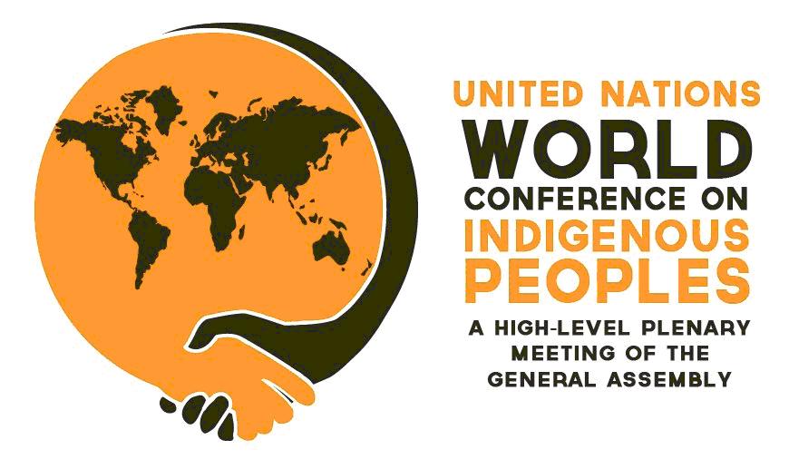 AMAN di WCIP (World Conference on Indigenous Peoples)