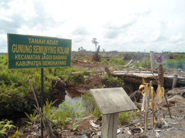 Siaran Pers AMAN Kalbar, Masyarakat Adat Semunying Jaya Gugat PT. Ledo Lestari