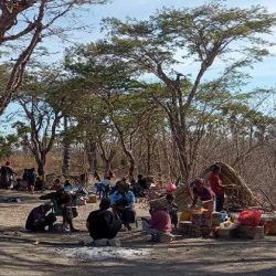 Hentikan Kekerasan Terhadap Komunitas Masyarakat Adat Besipae di Kecamatan Amanuban Selatan, Kab. Timor Tengah Selatan, Nusa Tenggara Timur